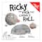 New Paige Press Ricky The Rock that Couldn&#x27;t Roll Book